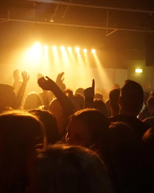 Disney Descendants & Zombies: Worlds Collide